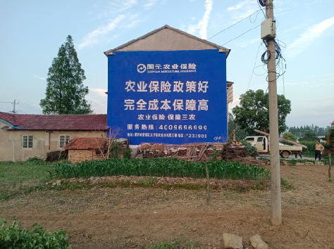 宜春墙体广告的优劣势你知道吗？